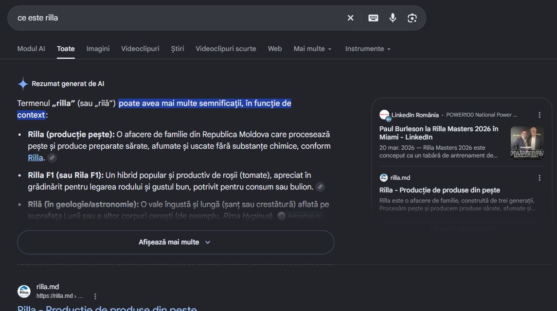 Запрос «ce este rilla» — пример описания компании со ссылкой на rilla.md.
